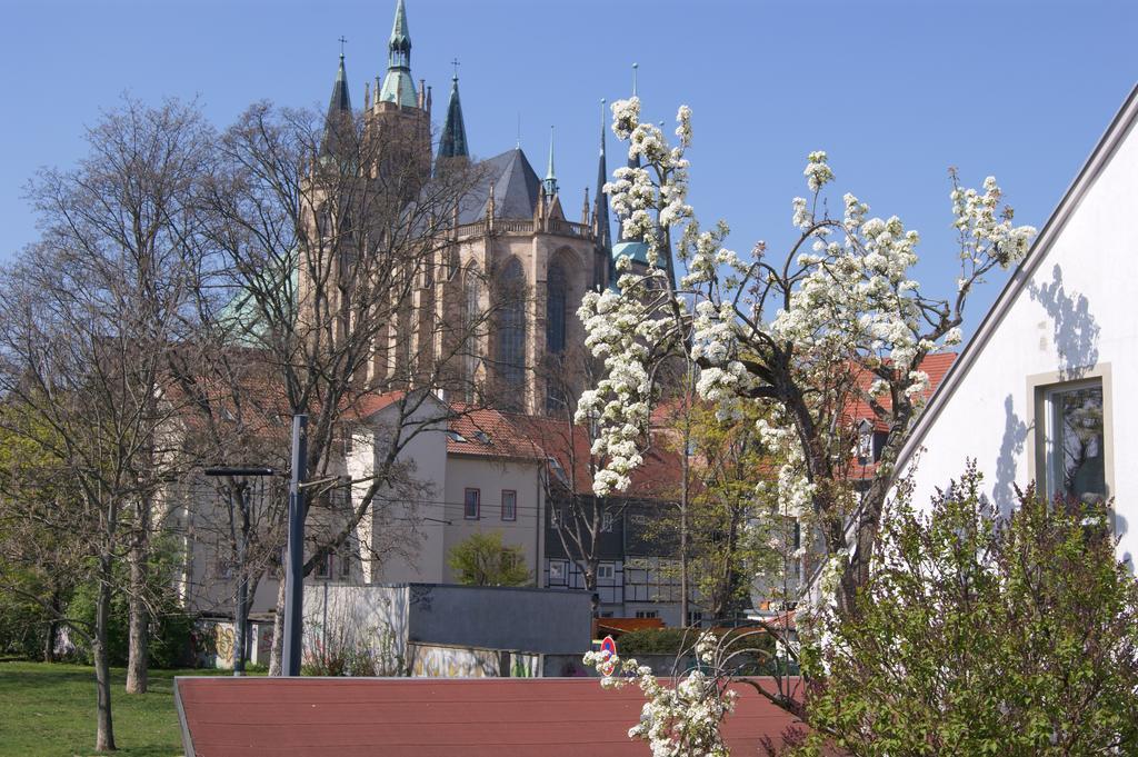 Pension Am Dom Erfurt Eksteriør bilde